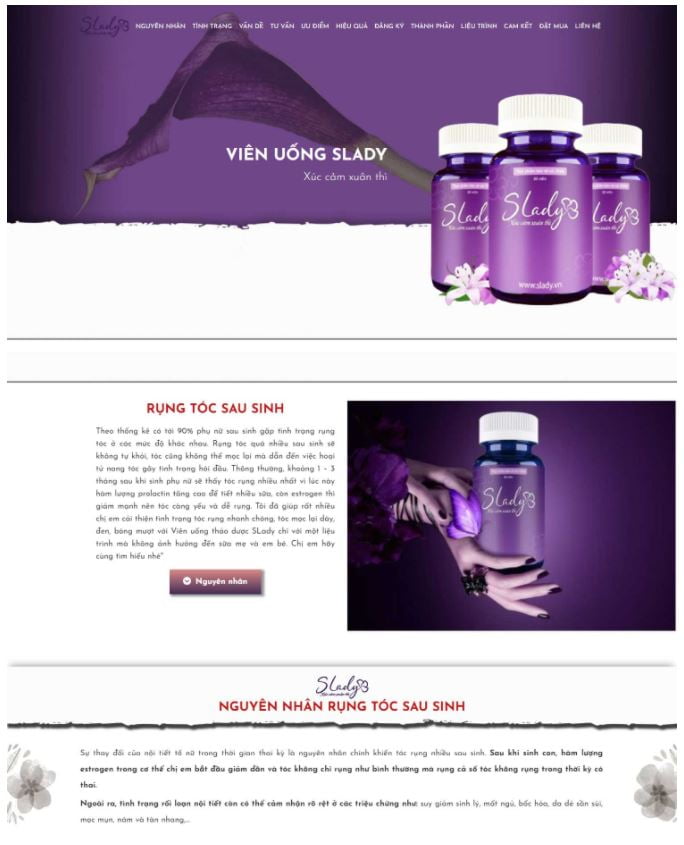 Landing Page Là Gì? Vai Trò Của Landing Page Trong Marketing Online 3 các loại landing page