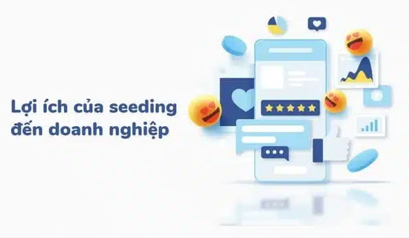 Seeding Là Gì? Các Giai Đoạn Triển Khai Seeding 3 Seeding là gì?
