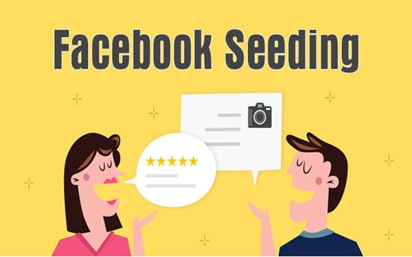 Seeding Là Gì? Các Giai Đoạn Triển Khai Seeding 2 Seeding là gì?