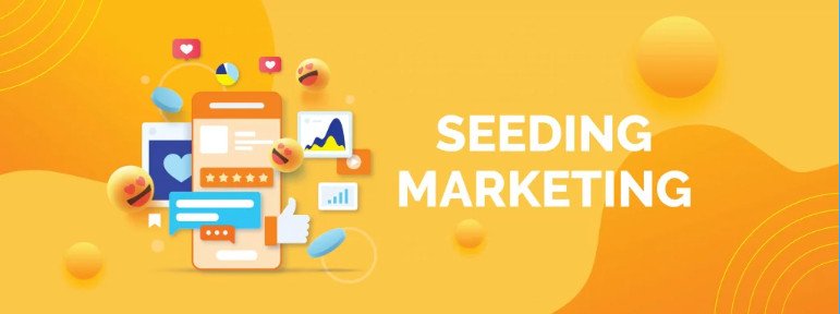 Seeding Là Gì? Các Giai Đoạn Triển Khai Seeding 4 Seeding là gì?