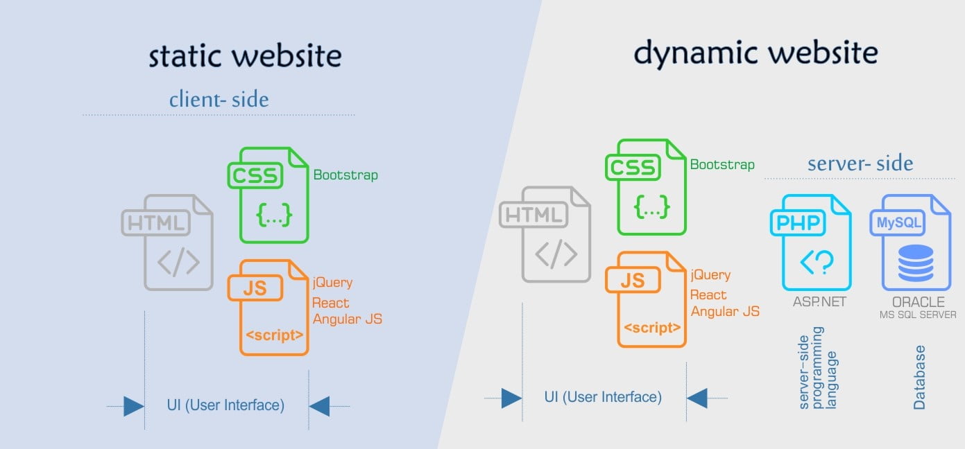 static dynamic2