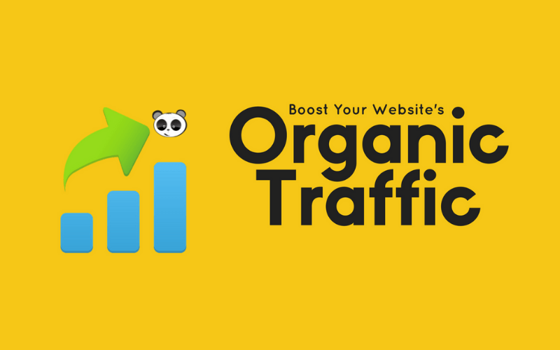 Organic traffic là gì?